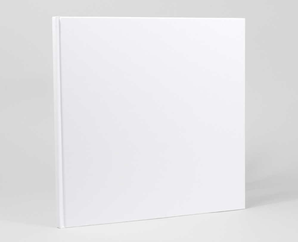 One Big Book An AuthorIllustrator Starter Kit The McSweeney's Store