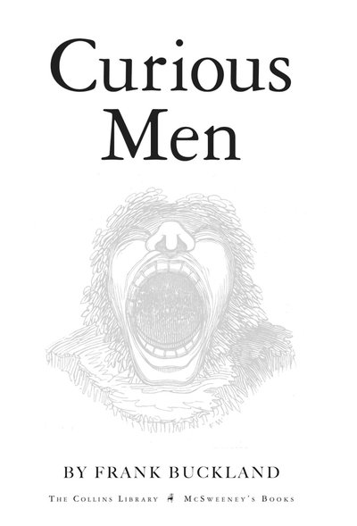 Curious men lores
